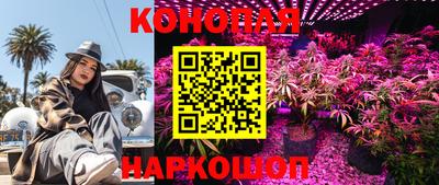 каннабис Славгород