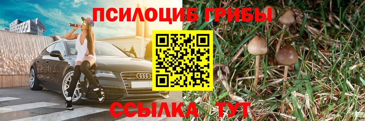 Северск  Галлюциногенные грибы ЛСД  Псилоцибиновые грибы прущие грибы  Вход с VPN 