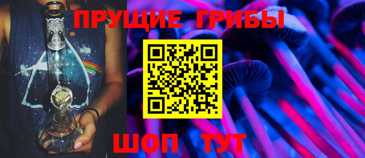Псилоцибиновые грибы мицелий Северск