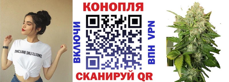 Бошки Шишки тримм  Северск 
